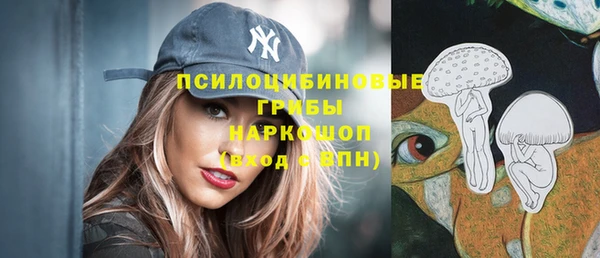 первитин Бородино
